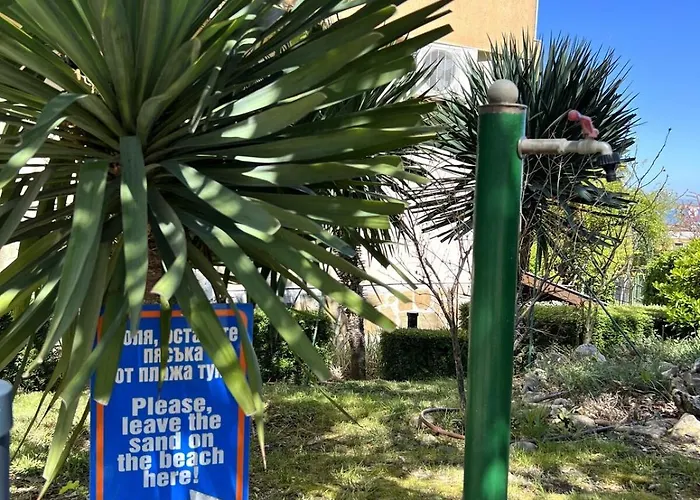 Daire морска идилия *